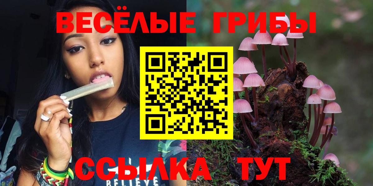 Псилоцибиновые грибы прущие грибы  Вход с VPN  Сибай 